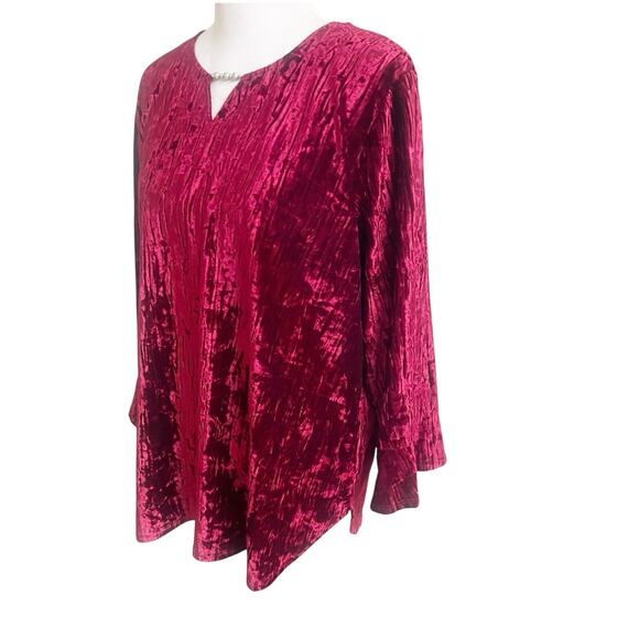 Alfred Dunner Crushed Velvet Long Sleeve Tunic Beaded Neckline Size XL Holiday - Picture 2 of 10